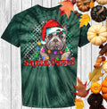 Santa Paws Graphic Tee product image 1